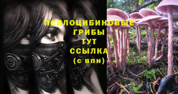 героин Алзамай