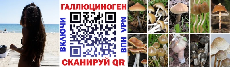 Псилоцибиновые грибы MAGIC MUSHROOMS  shop клад  Кулебаки 